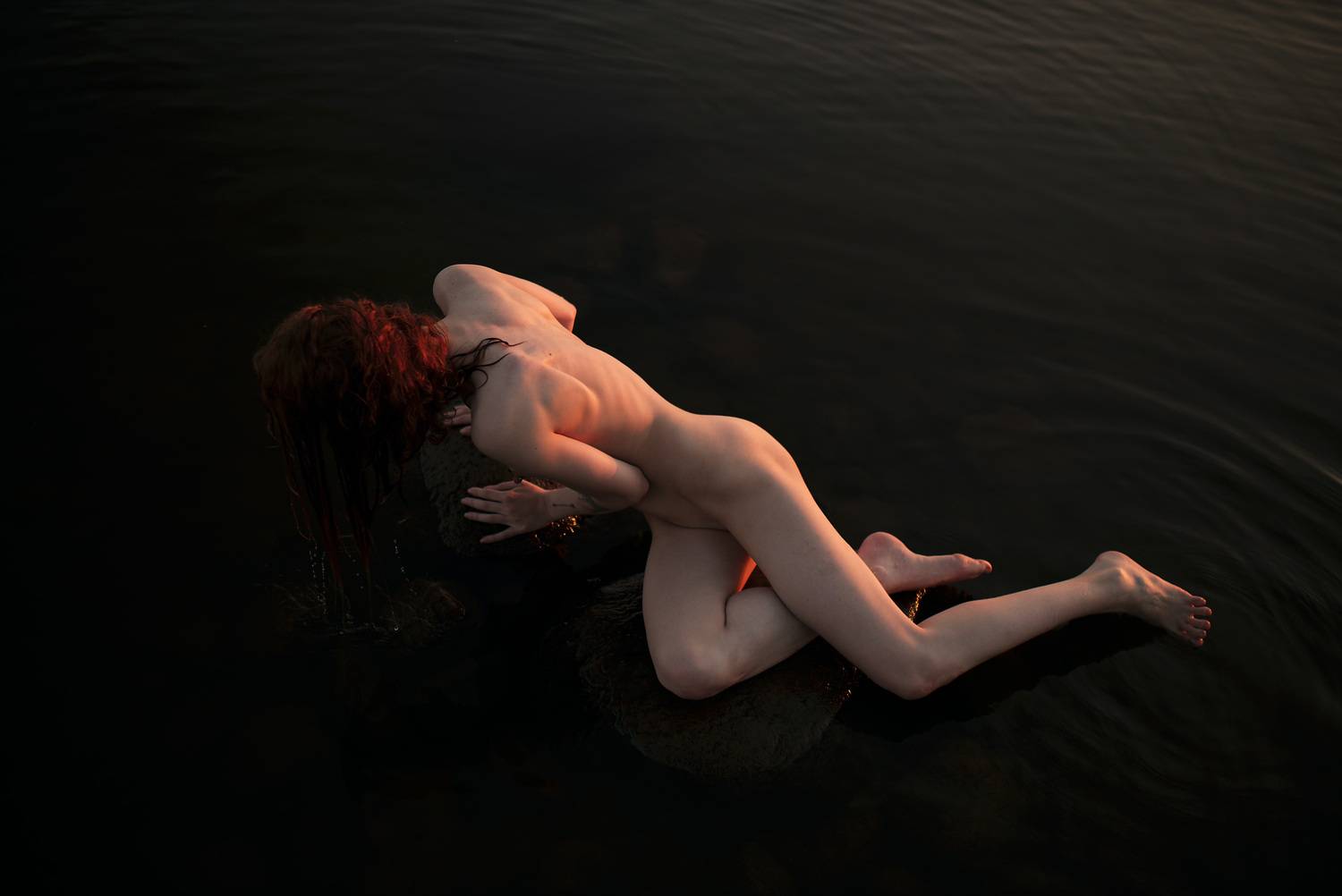 Photo #13651287