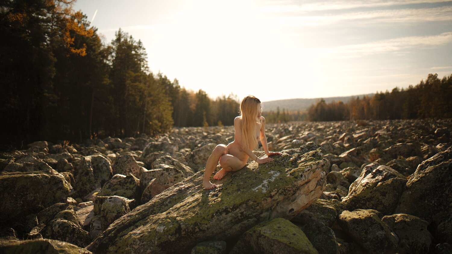 Photo #13651289