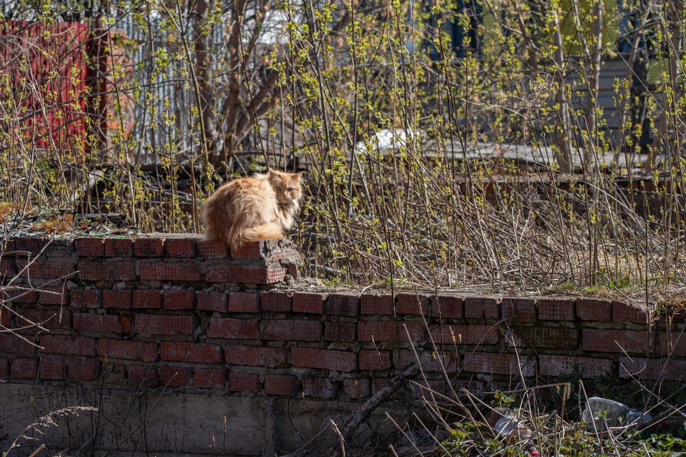 Photograph by Ксения Шилина