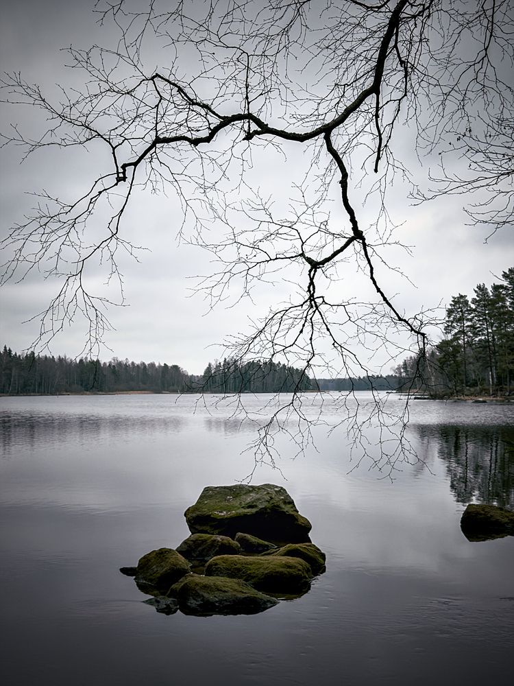 Tranquil Landscape Captured With Gentle Ripples And Muted Tones