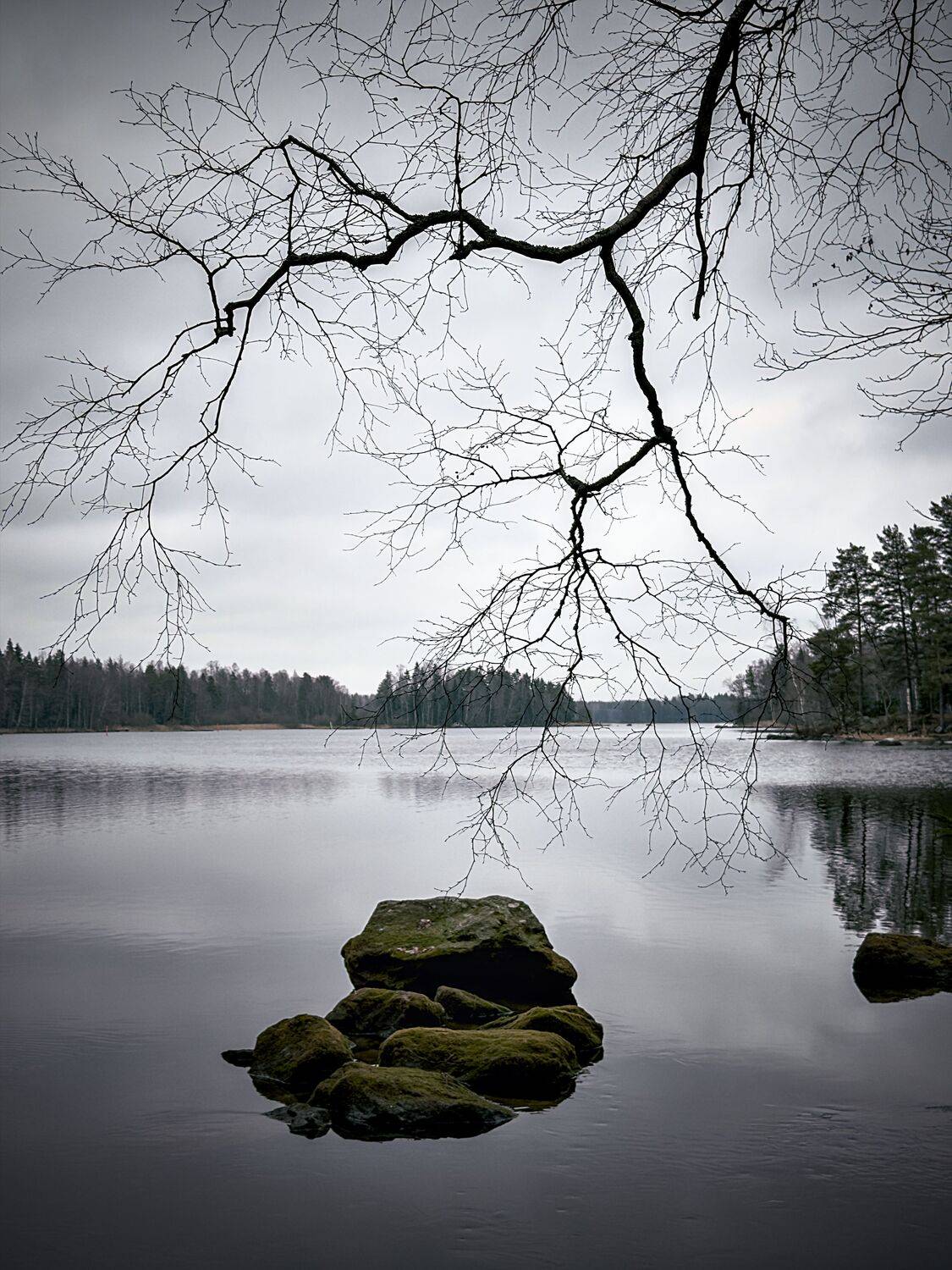 Tranquil Landscape Captured With Gentle Ripples And Muted Tones Tranquil Landscape Captured With Gentle Ripples And Muted Tones