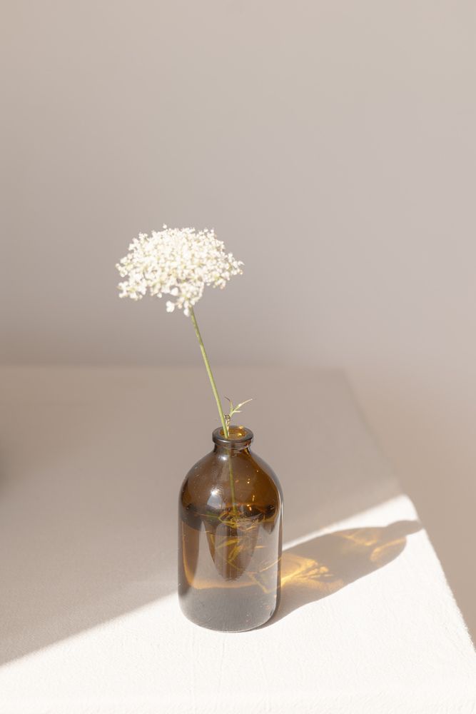 Photograph by Laurénia Rosa