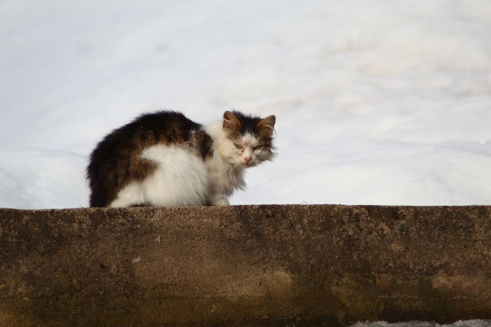 Photograph by Елена Наленч