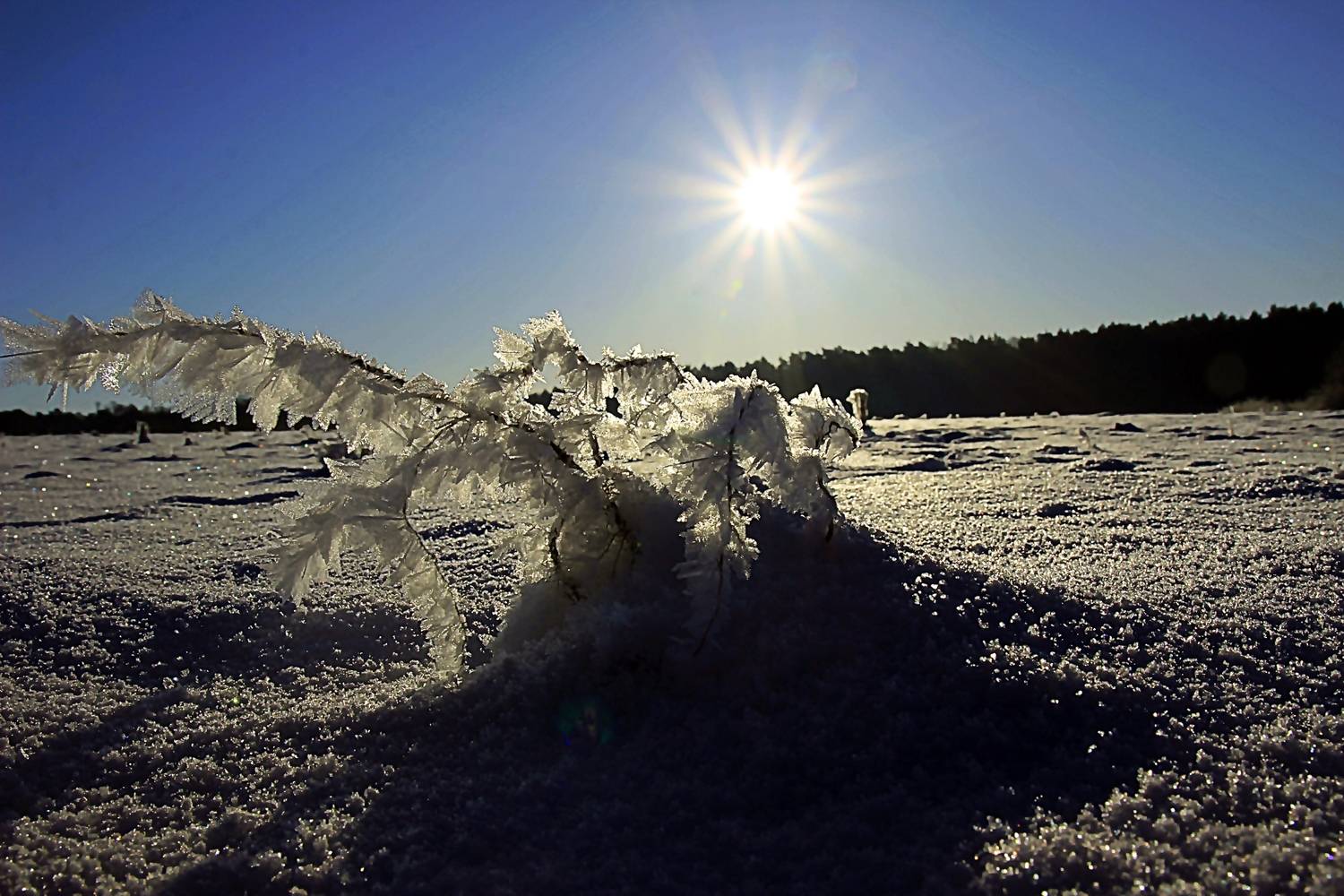 Photo #13651416