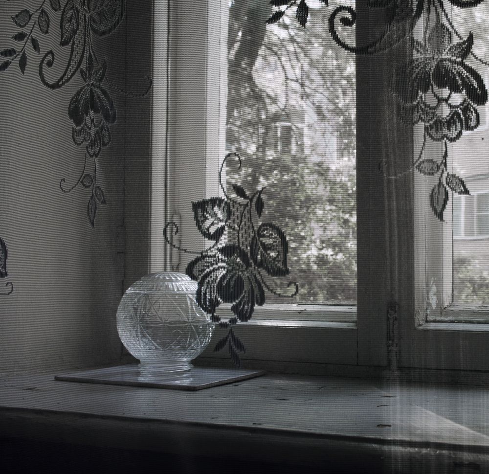 Photograph by Парк Юрский