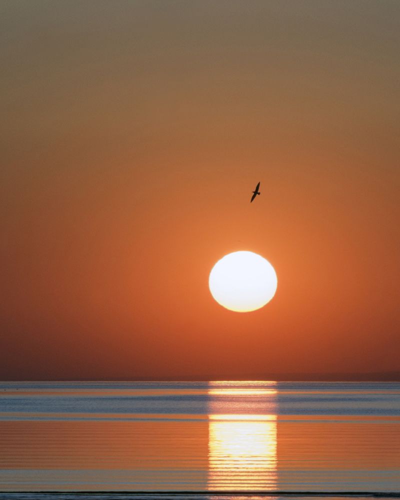 Photograph by stepan