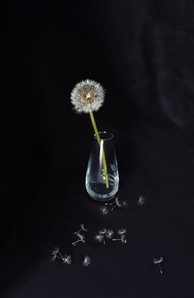 Photograph by Олеся Гамза