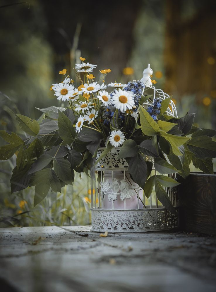 Photograph by Ara Arzumanyan