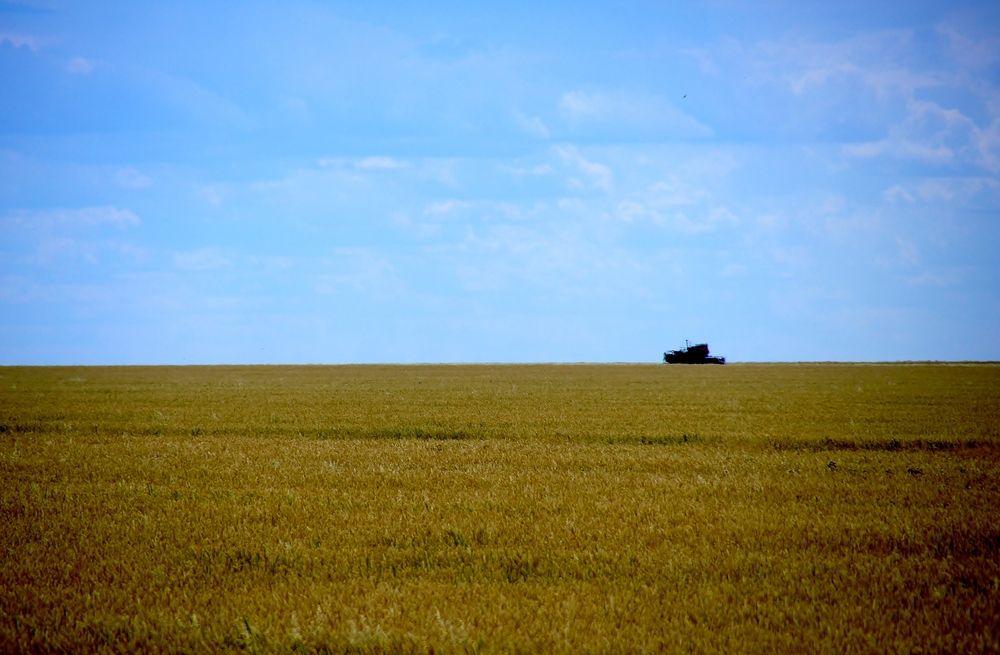 Photograph by Светлана Стрельцова