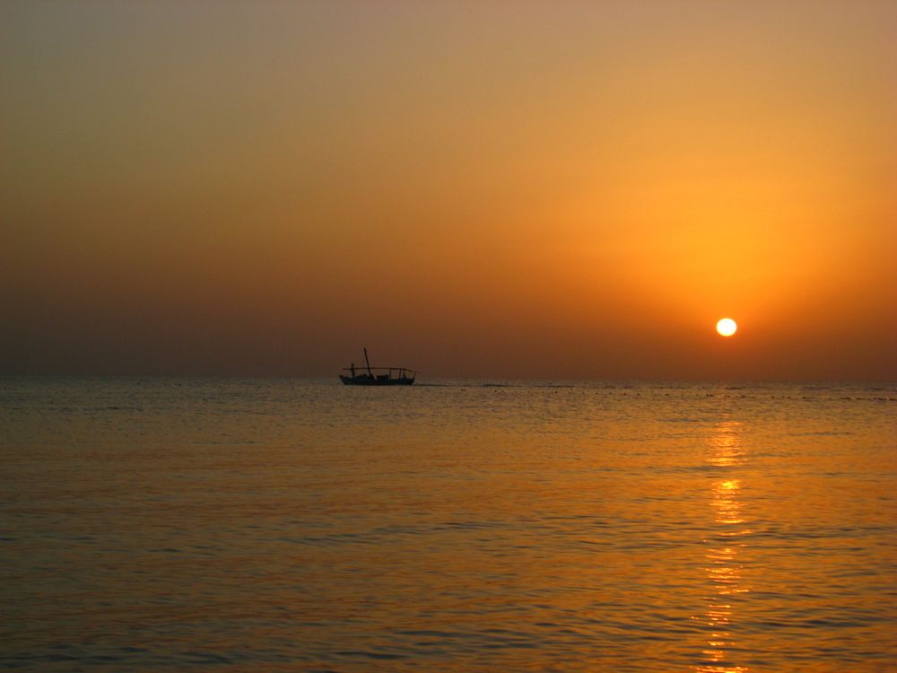 Photograph by Светлана Стрельцова