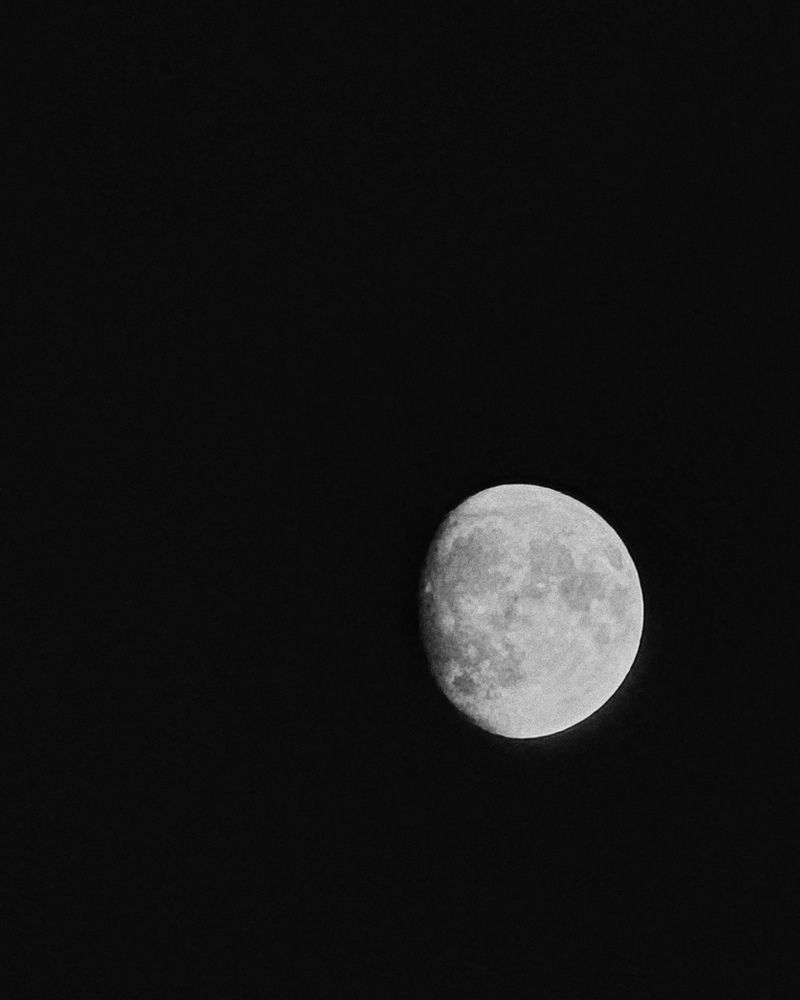 Photograph by Мария Смирнова