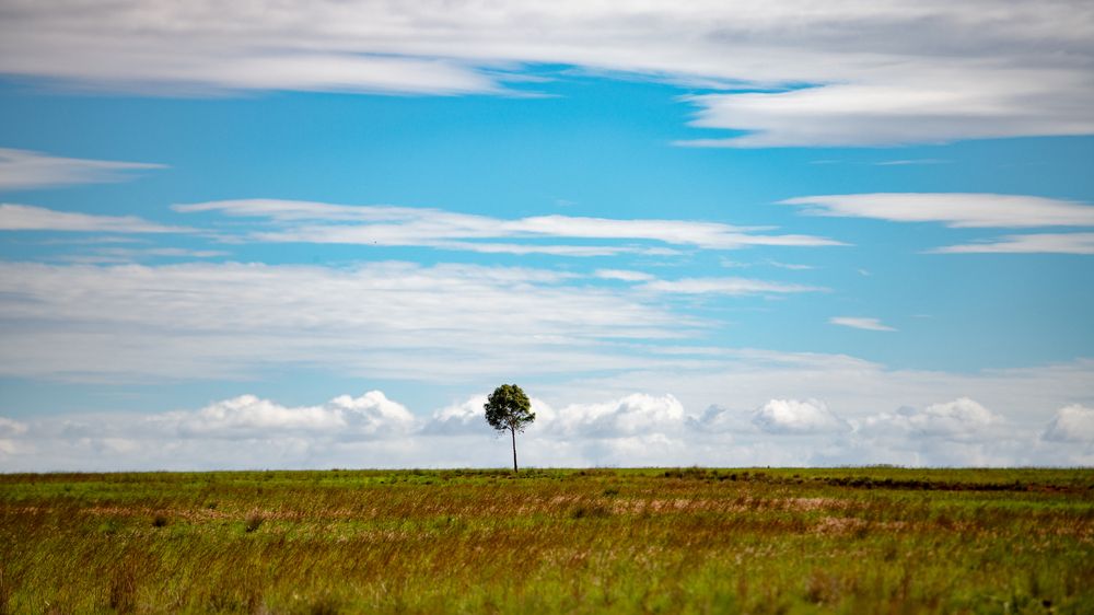Photograph by Ismail Hassanaly