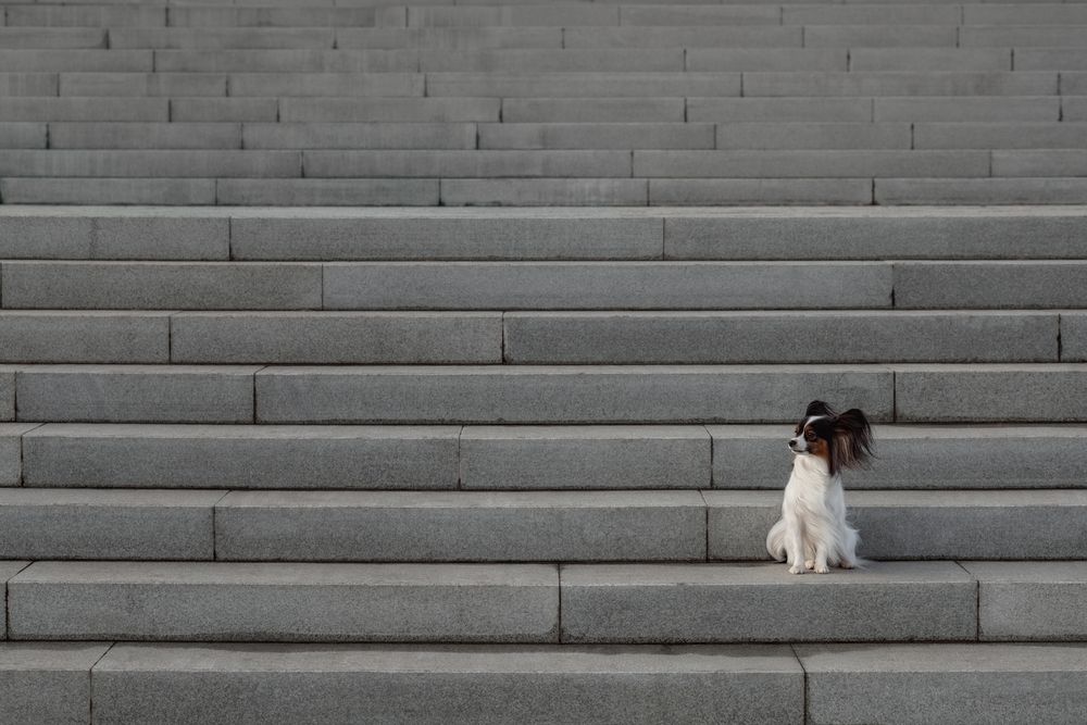 Photograph by Алина Дудорова