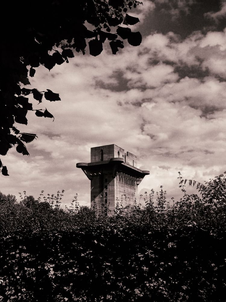 Photograph by Chelyshev Boris