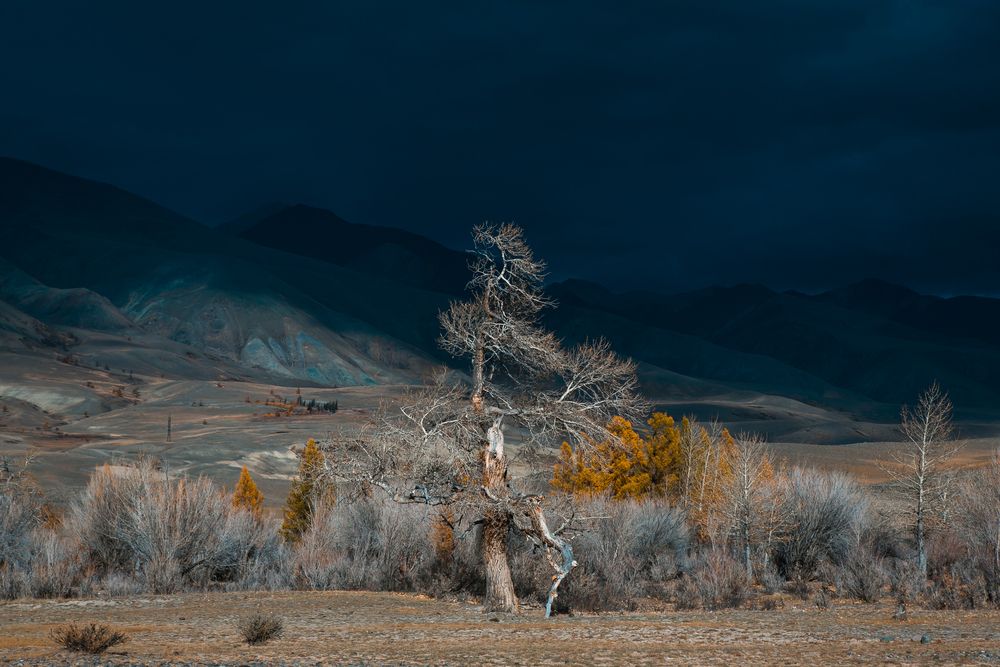 Photograph by Алексей Новиков