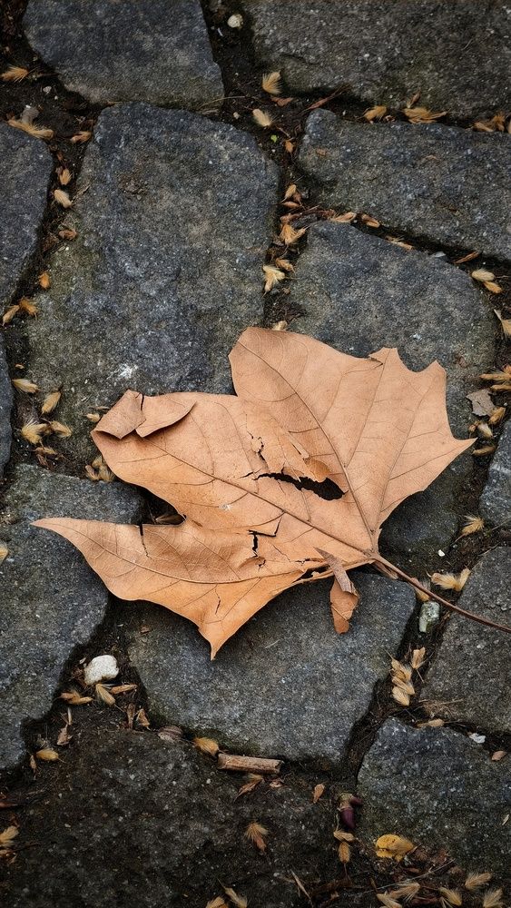 Photograph by Sahil Jadhav