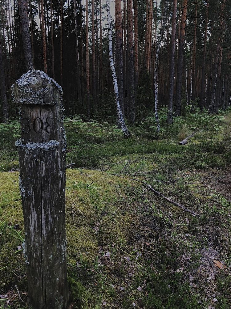 Photograph by Eleonora Zimareva