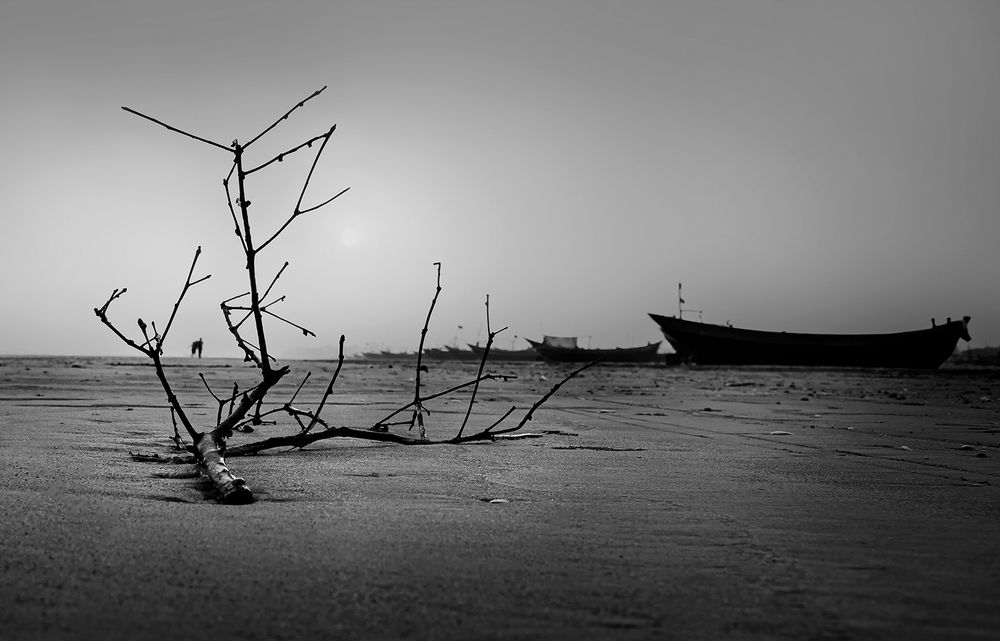 Photograph by GOUTAM PAL