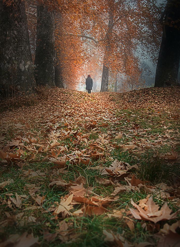 Photograph by GOUTAM PAL