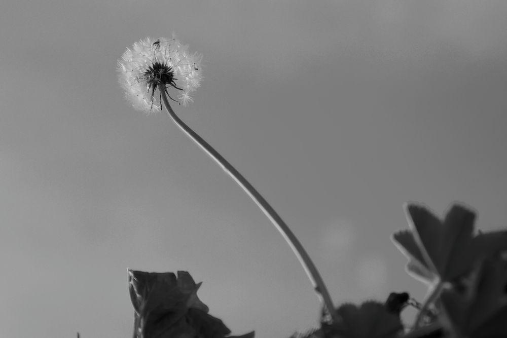Photograph by Оксана Короткая