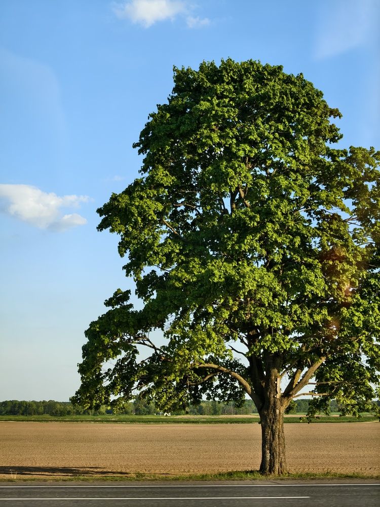 Photograph by Юлия Бурминская