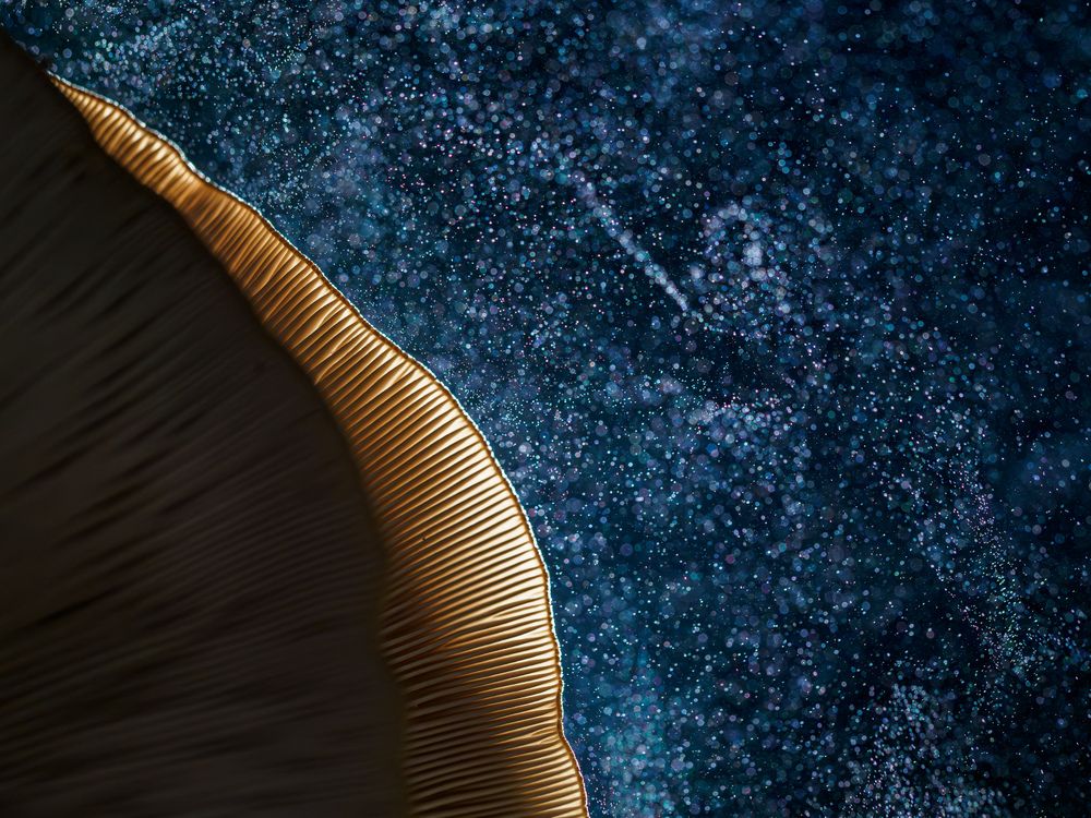 Photograph by Orsolya Eszter Nagy