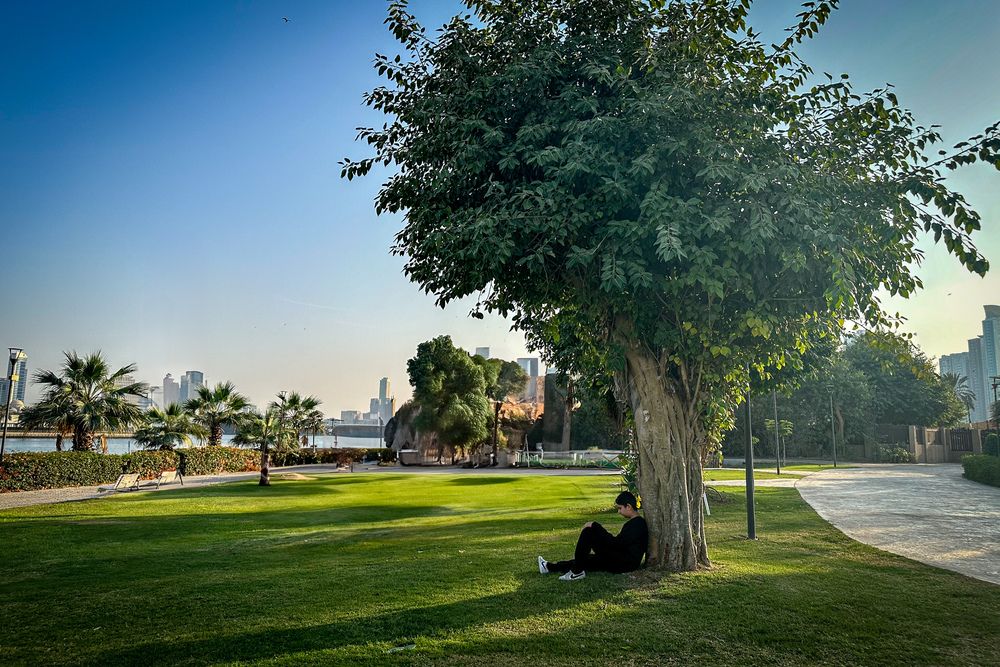 Фотография автора Hadine elsaadi