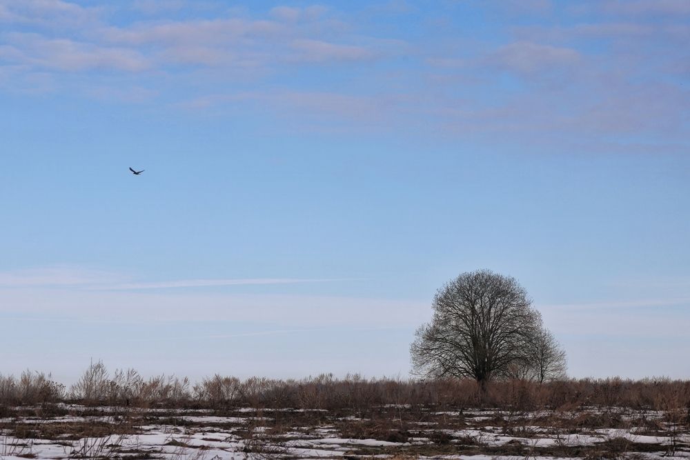 Photograph by Оксана Короткая