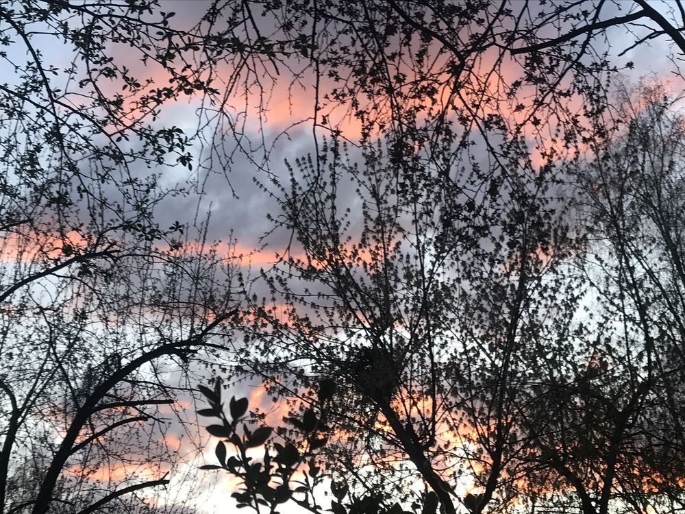 Photograph by Татьяна Гуськова