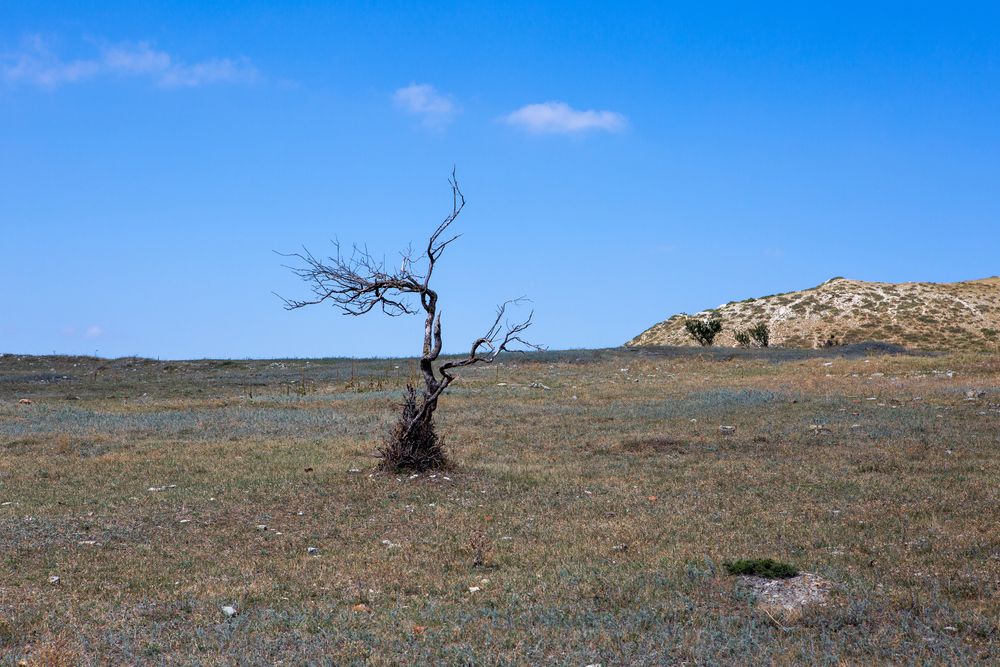 Photograph by Диана Бородзе