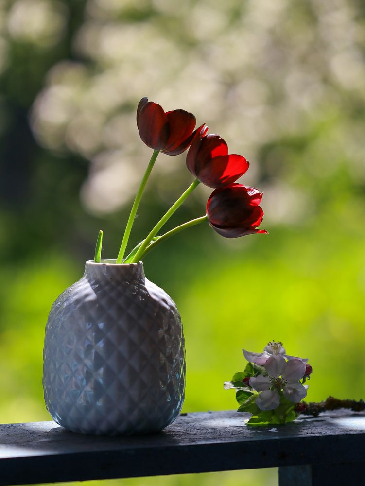 Photograph by Ирина Корабельникова