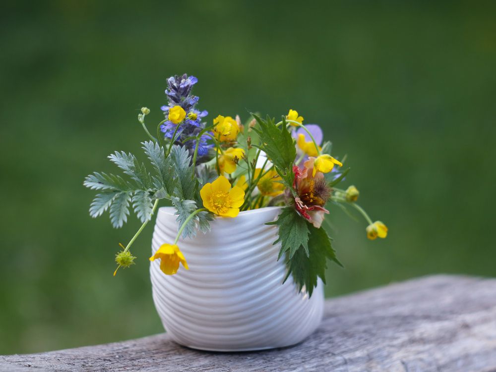Photograph by Ирина Корабельникова