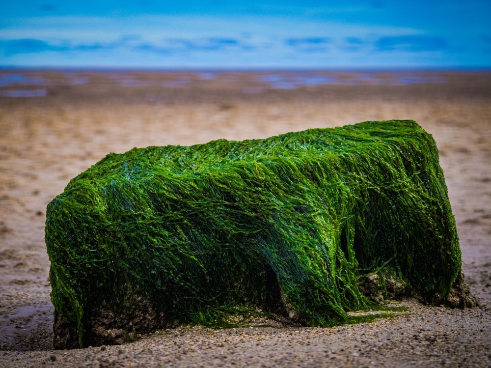 Photograph by Павел Овчаров