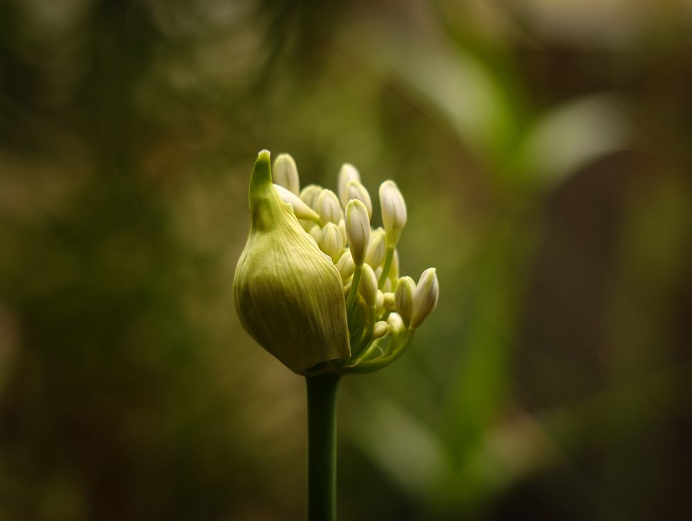 Photograph by Воронина Татьяна