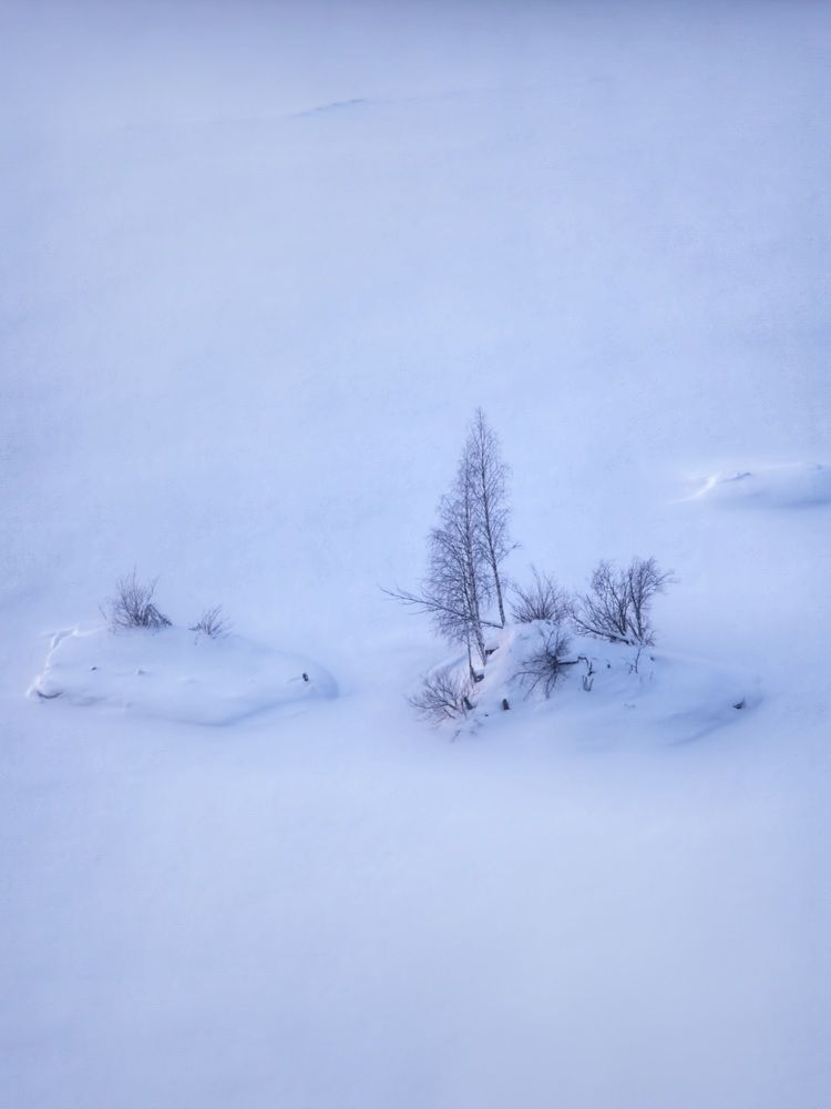 Фотография автора Анна Семенова
