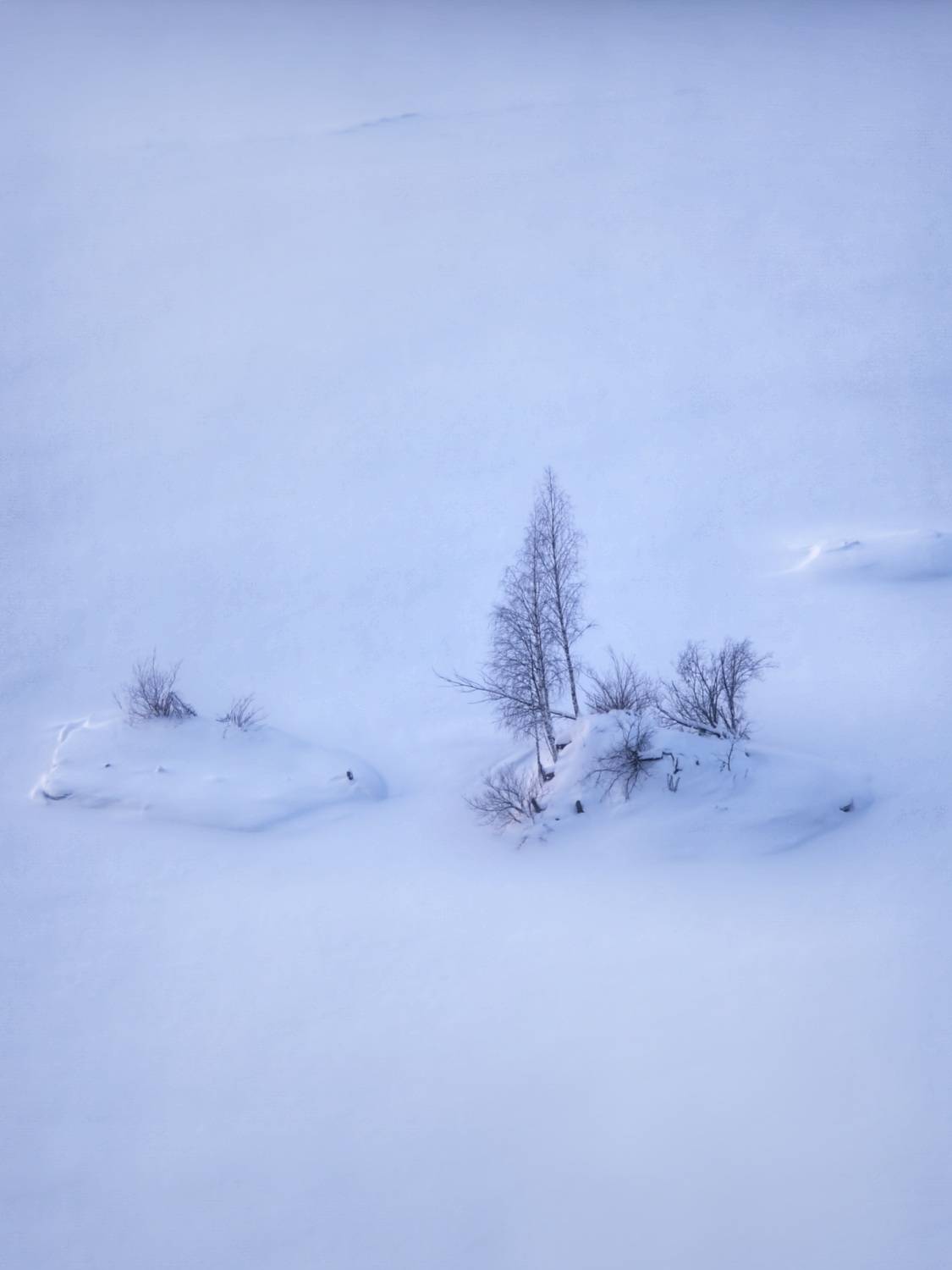 Photo #13652072
