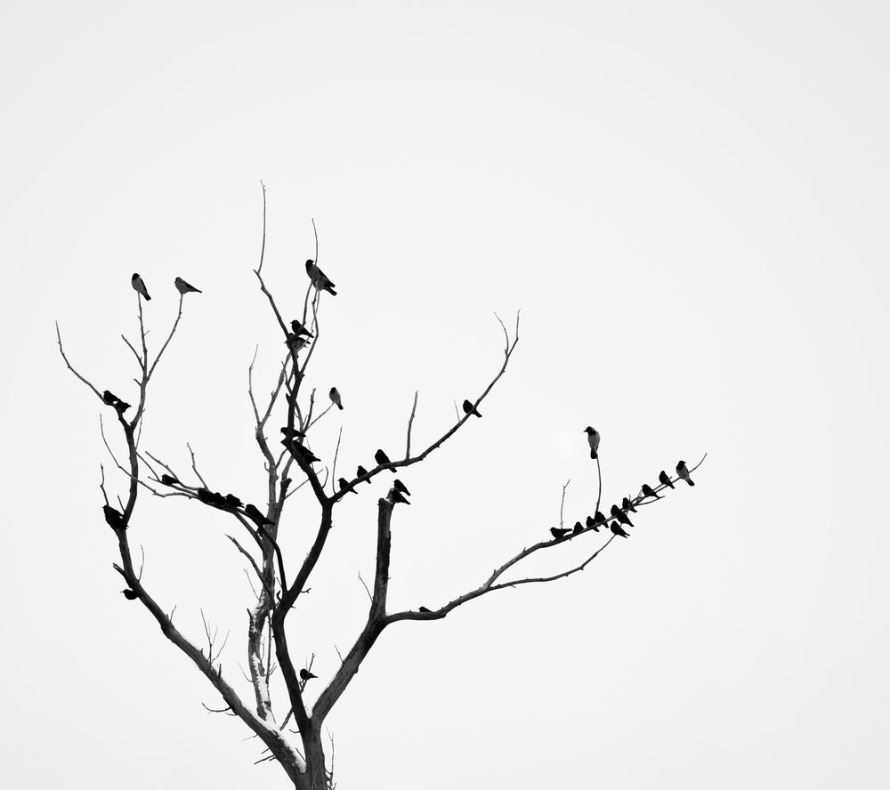 Photograph by Ефим Осов