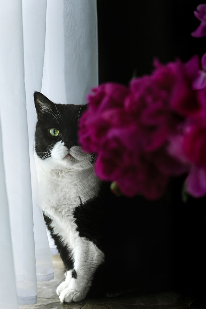Photograph by Остапенко Алина