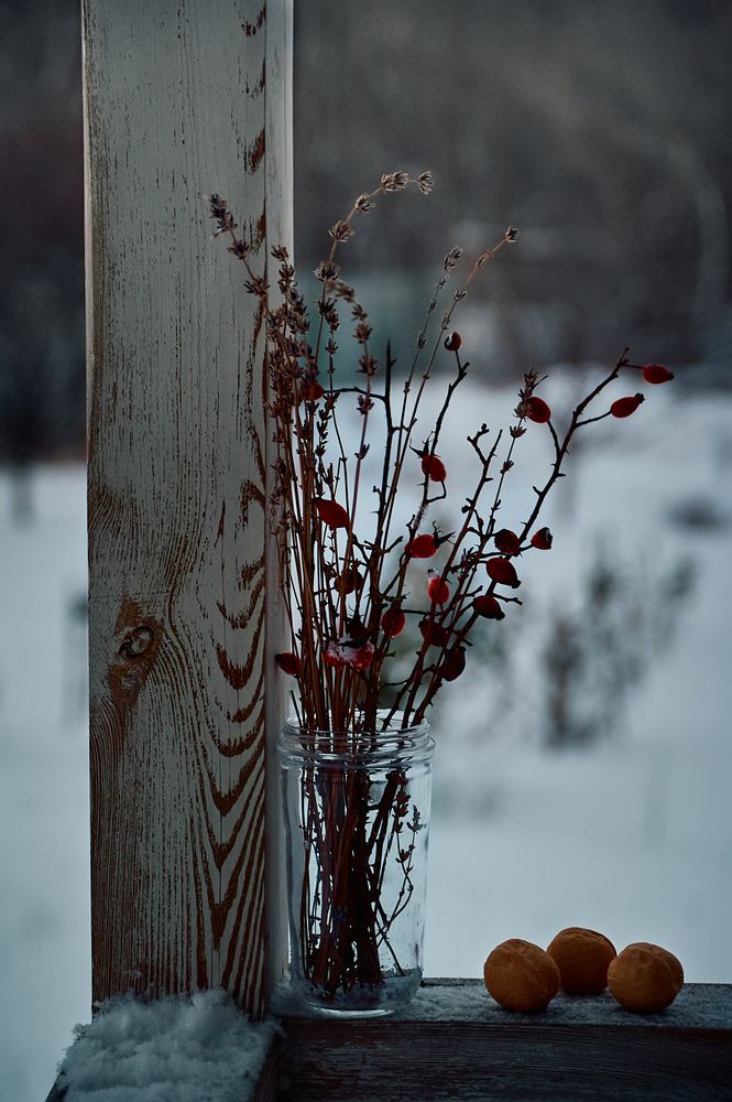 Photograph by Константин Громов