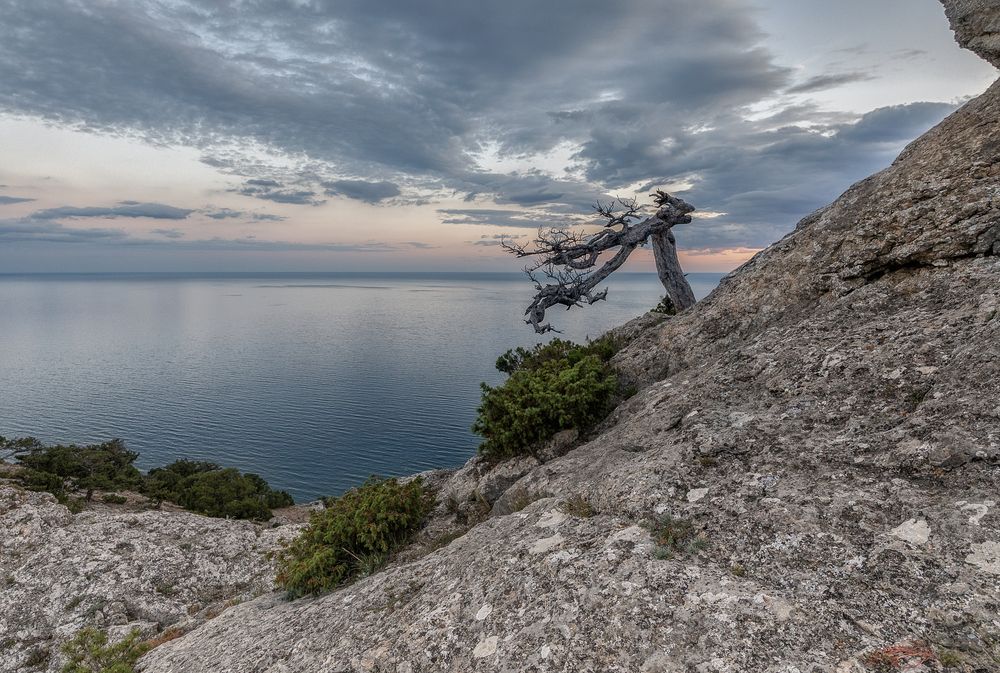 Photograph by Татьяна Феденкова