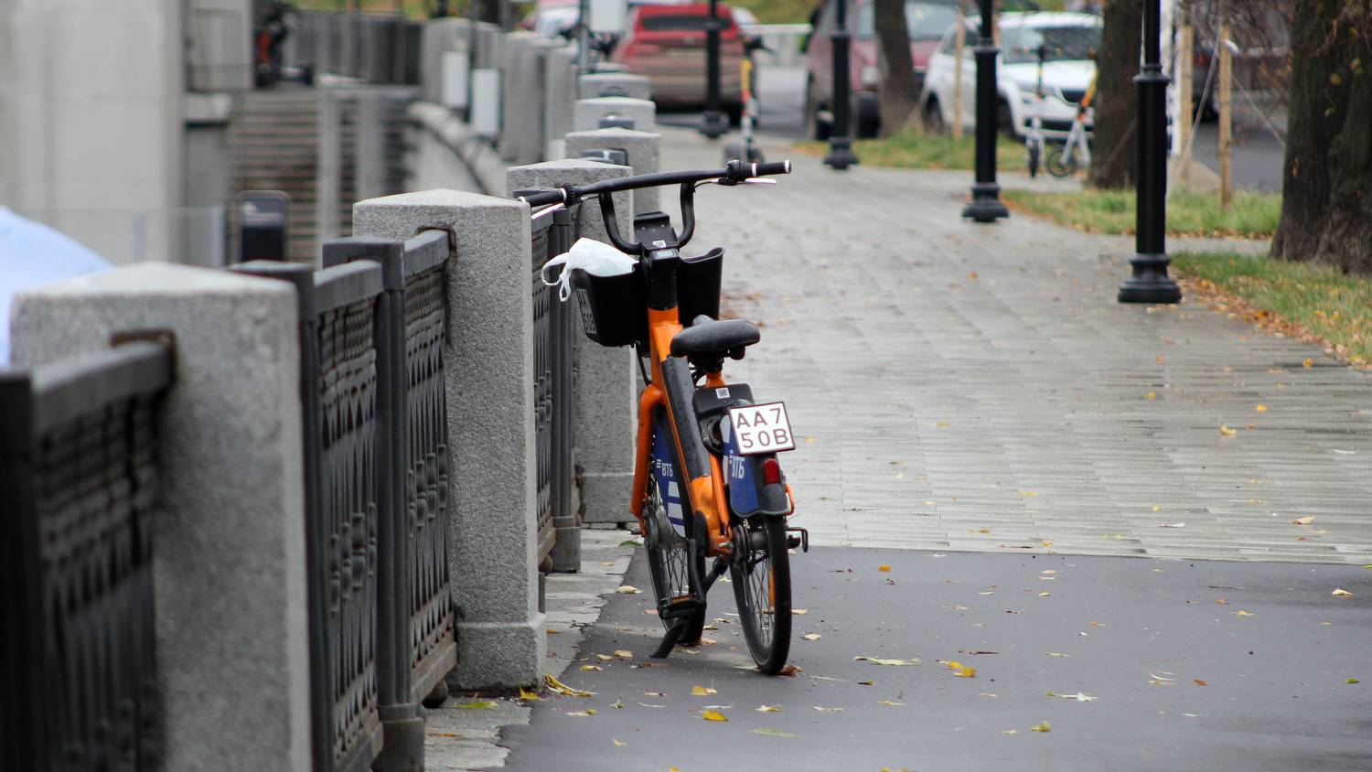 Photo #13652128