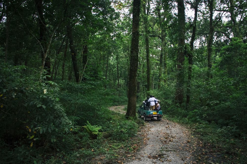 Photograph by Saikat Singha