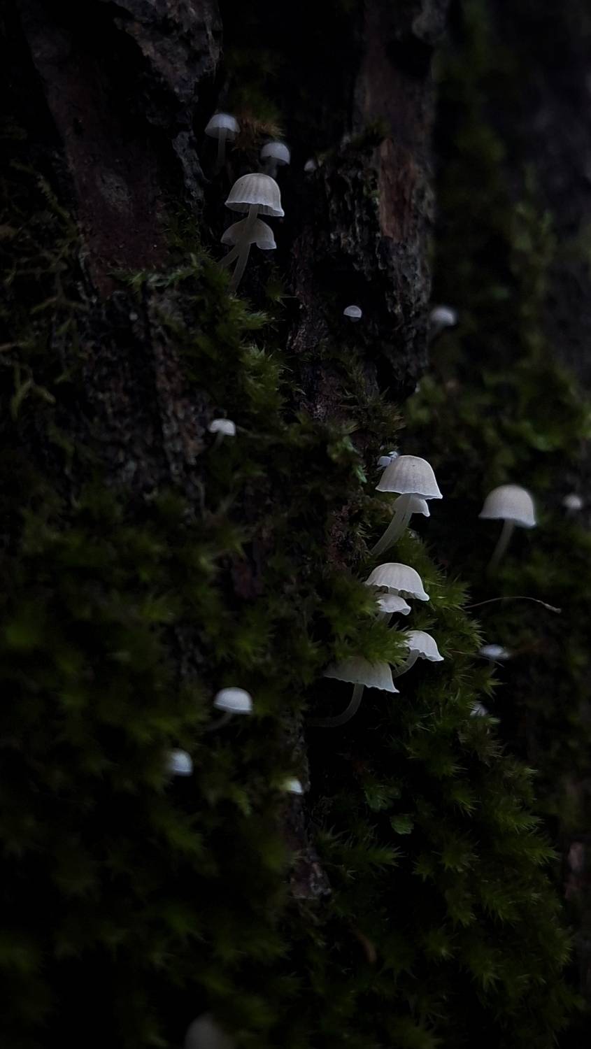 Photo #13652159