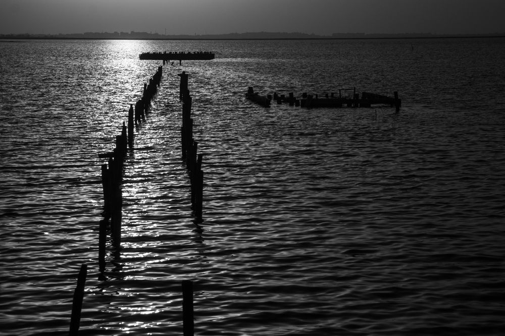 Photograph by Marina Mossiy
