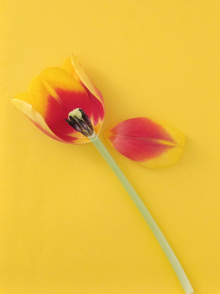 Photograph by Наталия Дроздова