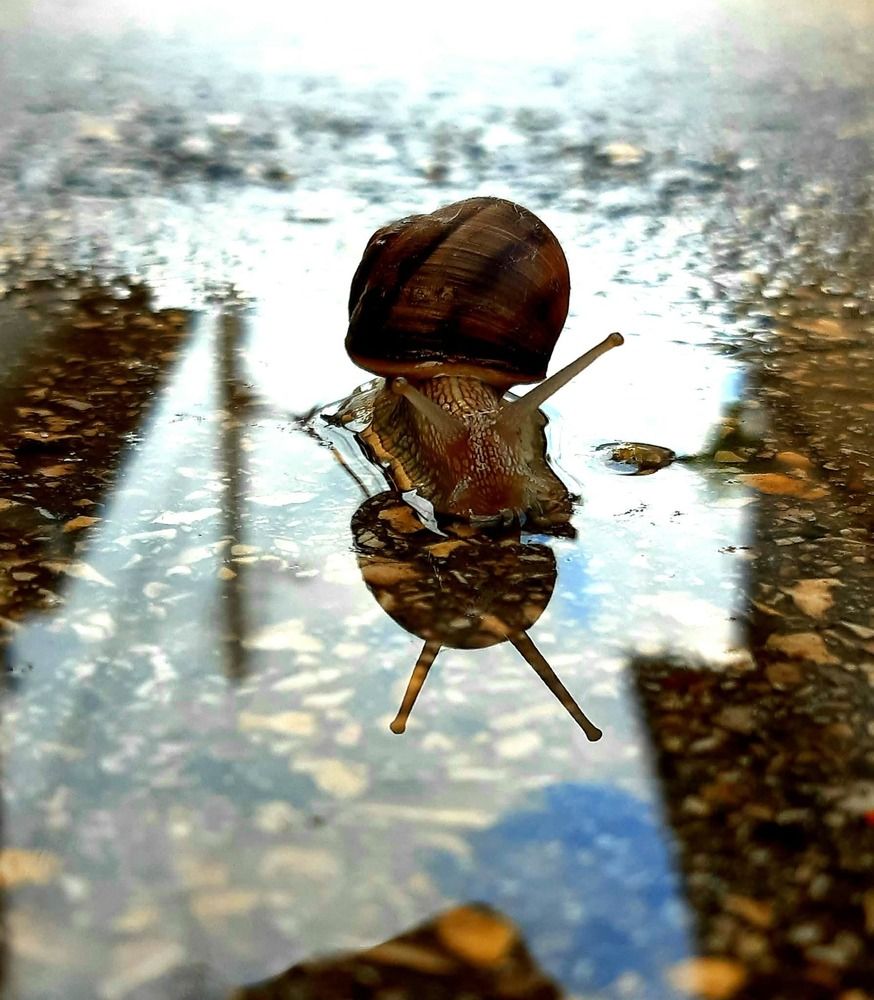 Photograph by Vesi Petrova