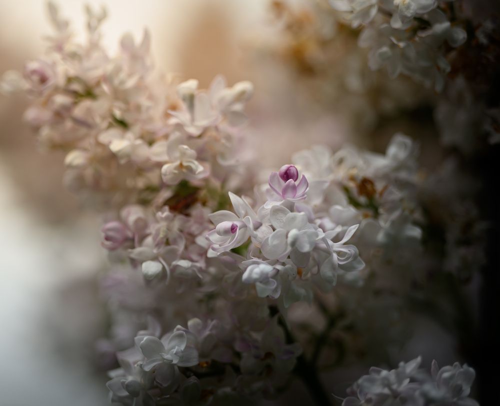 Photograph by Ефим Осов