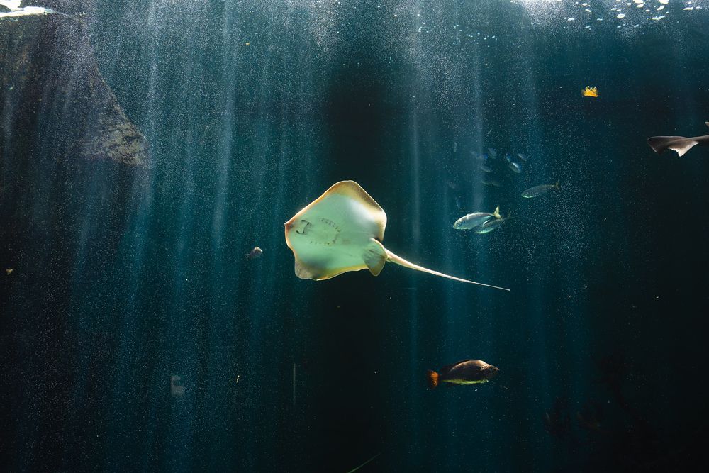 Photograph by Taketo Kazuho