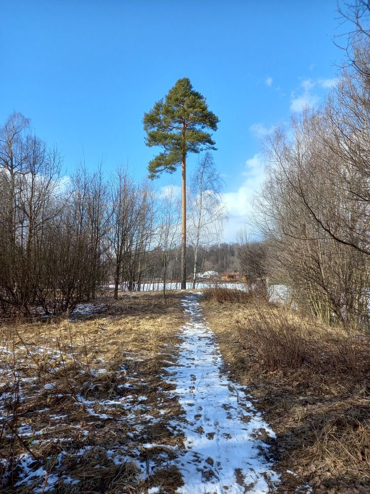 Photograph by Наталья Колеватова