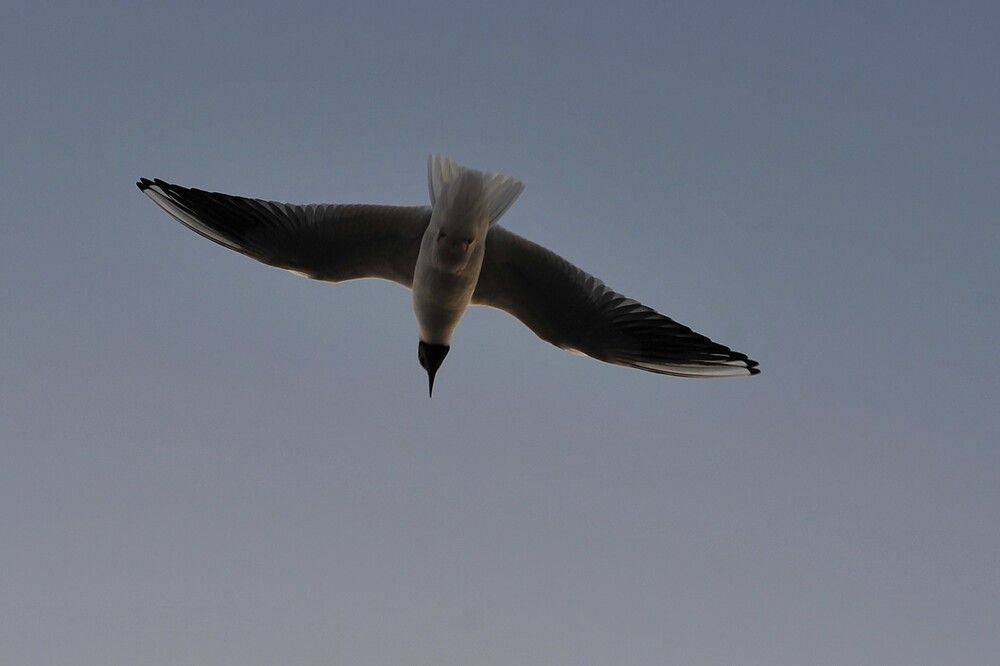 Photograph by Ольга Пушленкова